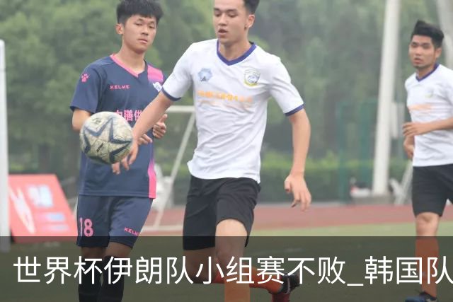 世界杯伊朗队小组赛不败 韩国队出线仅剩理论可能